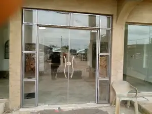 Frameless Swing Door With Curtain Wall Fixlight and Openings