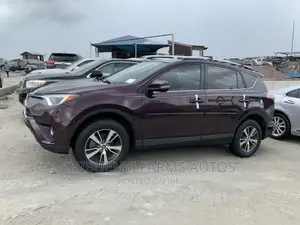 Toyota RAV4 XLE Premium AWD 2019 Burgundy