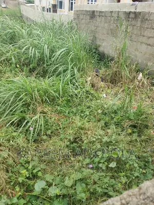 Commercial Land Around Four Points by Sheraton Oniru