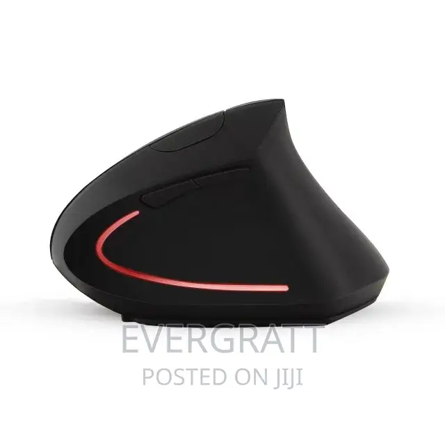 Rechargeable 3D Ergonomics Mouse
