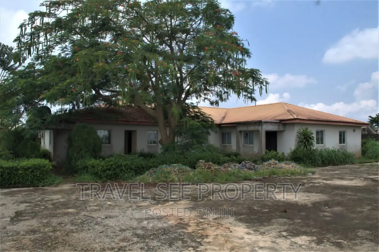 Certificate of Occupancy