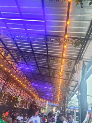 Single Lampholder Light Original