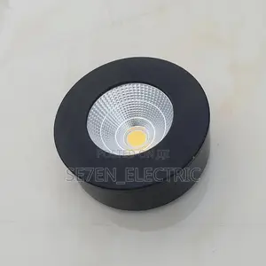 Ceiling Surface Mounting/ Parapet Light