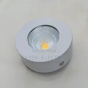 Ceiling Surface Mounting/ Parapet Light