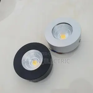 Ceiling Surface Mounting/ Parapet Light