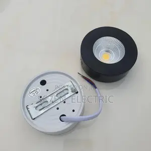 Ceiling Surface Mounting/ Parapet Light