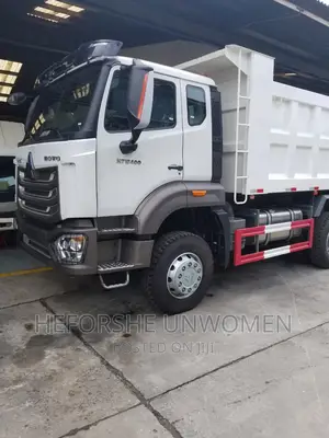 2023 Dangote Howo Brand New 30 Tons