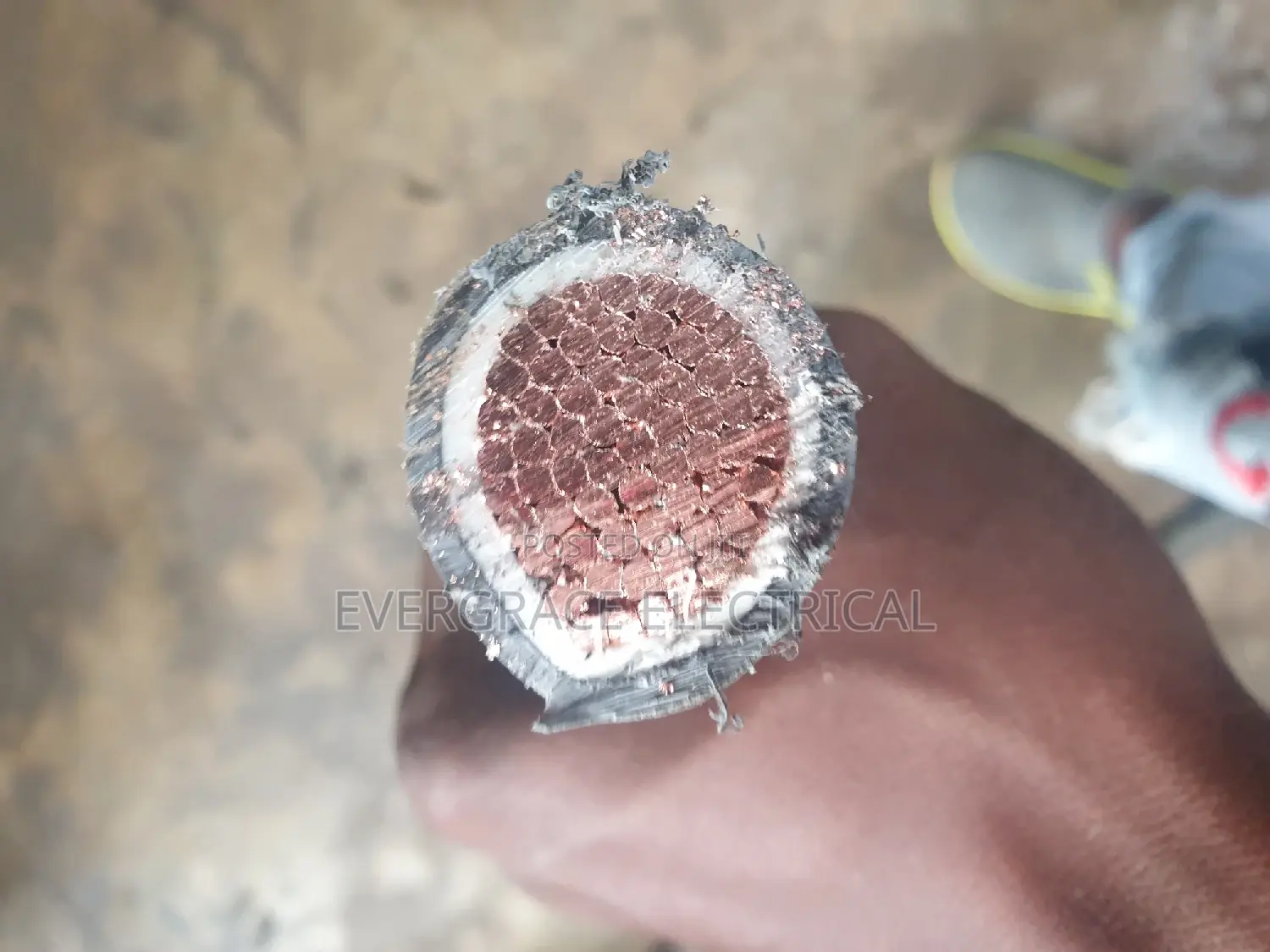 500mm Single Armoured Cable