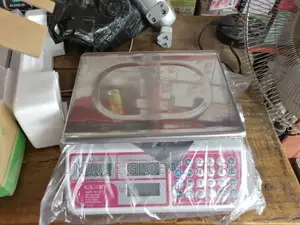 Camry Digital Scale - 30 Kg