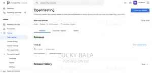 Mobile App Developer For Ios And Android