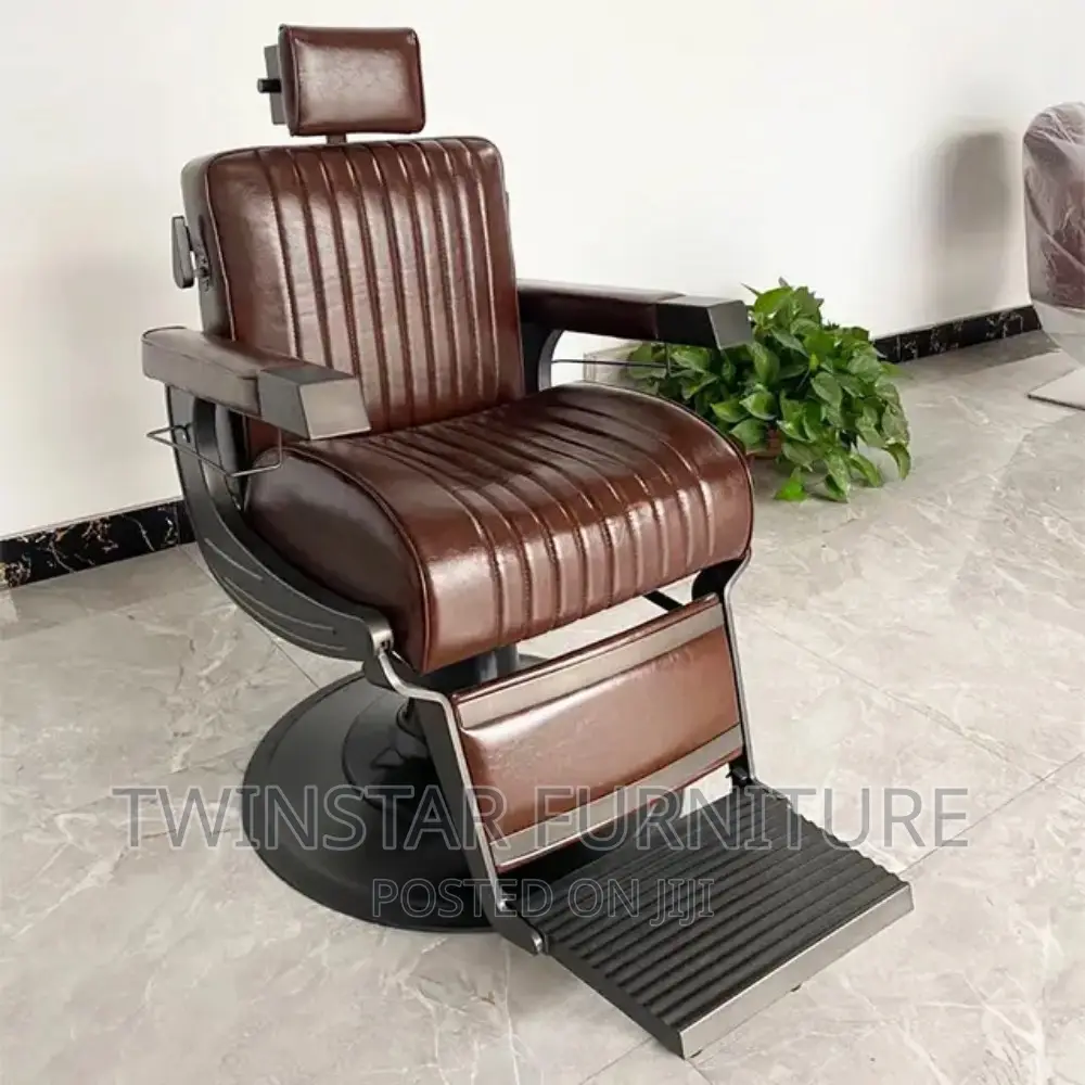 New Modern Leather Salon Chairs