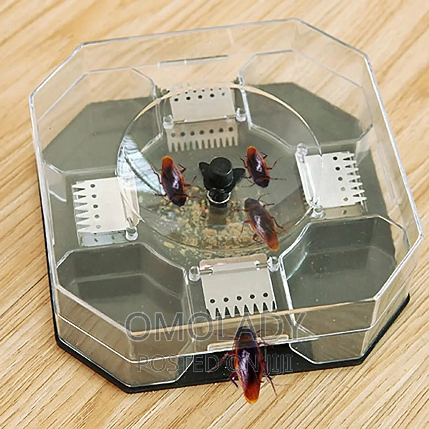 Cockroach Trap Catcher Box