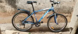 Simba Mountain Bicycle