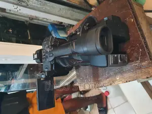 Sony Fdr-ax1