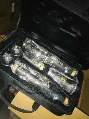 Professional Clarinet