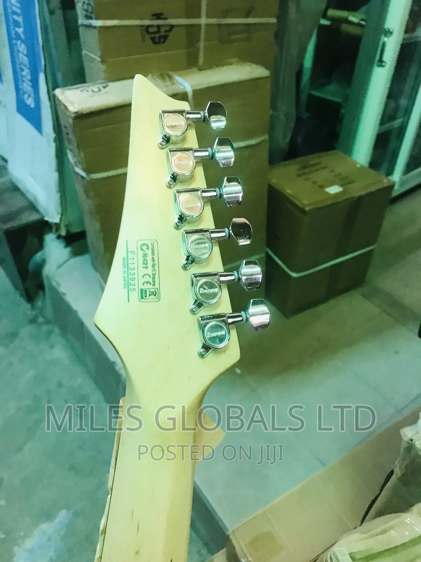 Ibanez G10 Guitar
