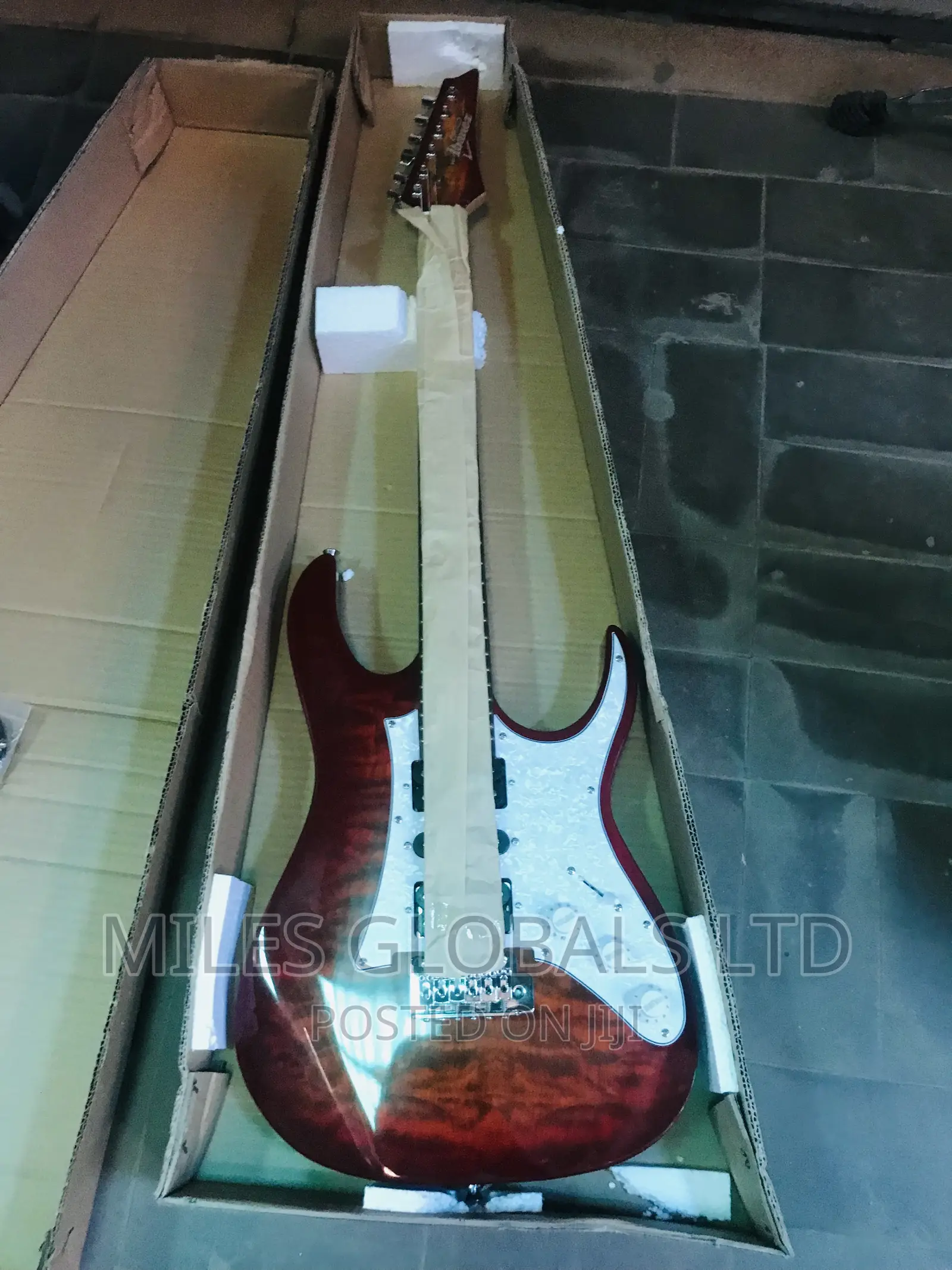 Ibanez G10 Guitar