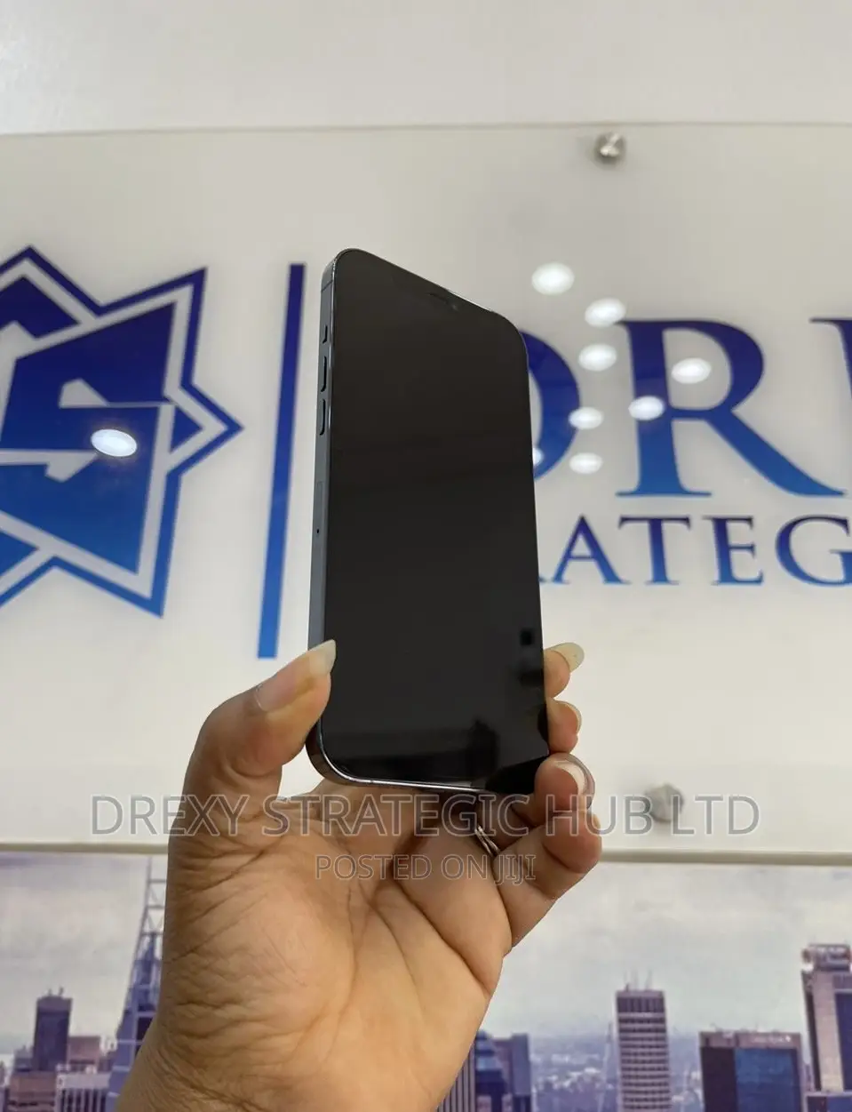 Apple iPhone 12 Pro Max 256 GB Blue