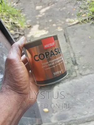 Molyslip 500G Copaslip Grease Compound