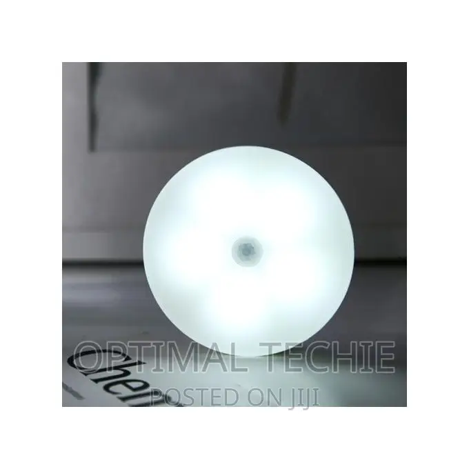 Smart Motion Sensor Light