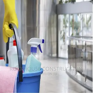 Curtain Wall and Glass Cleaning