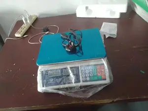 Digital Scale