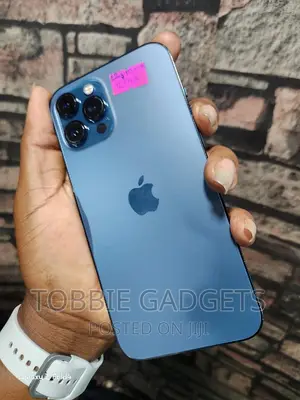 Apple iPhone 12 Pro Max 256 GB Blue