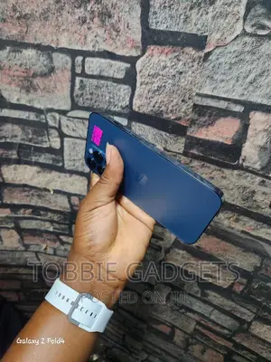 Apple iPhone 12 Pro Max 256 GB Blue