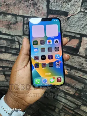 Apple iPhone 12 Pro Max 256 GB Blue