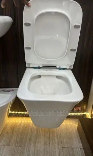 Wall Hung WC (Turkey)
