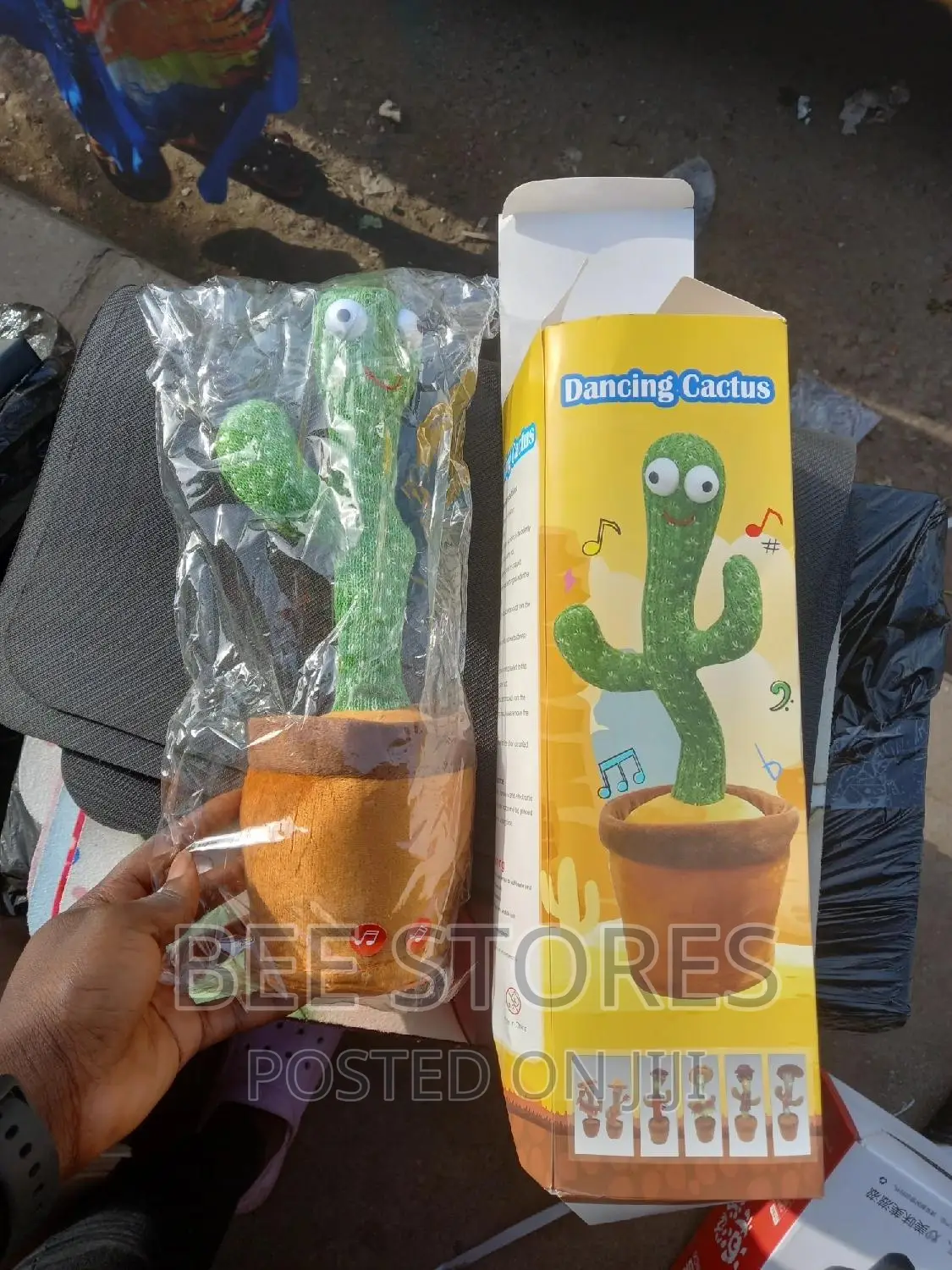 Dancing Cactus