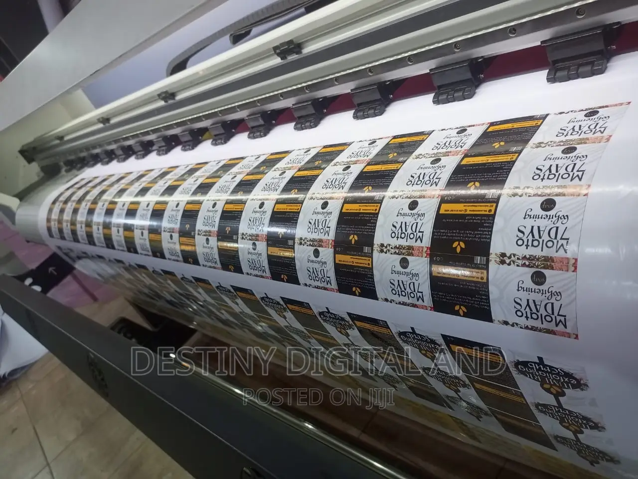 Graphic Designs And Printing Services