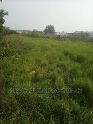 Fenced 6 Plots of Land Opposite Dangote Refinenary Ibeju Lekki Lagos