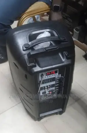 Hamersh 12" Public Address System With Equalizer