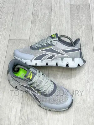 ORIGINAL Reebok Zig Dynamica 2.0 “White” MEN WOMEN