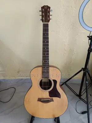 Rent a Quality Acoustic Guitar for Performances, Shows Prop