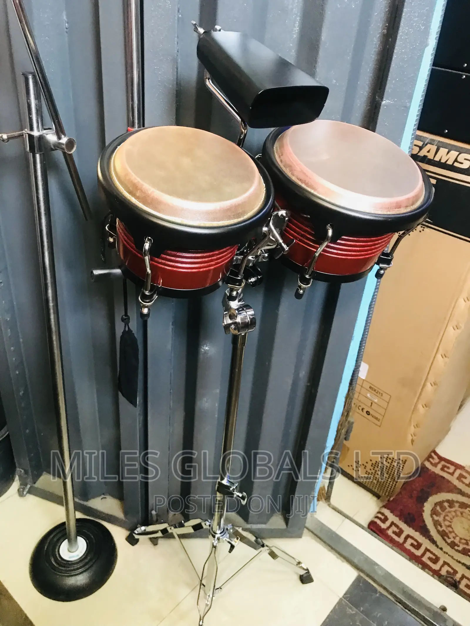 Bongo Big One
