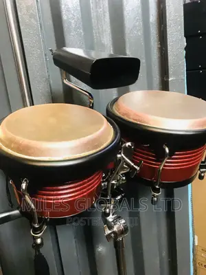 Bongo Big One