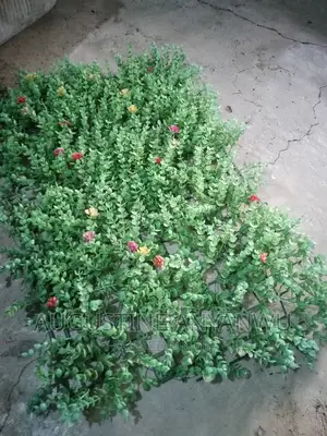 Wall Flower.At for Decorating Event Backdrops