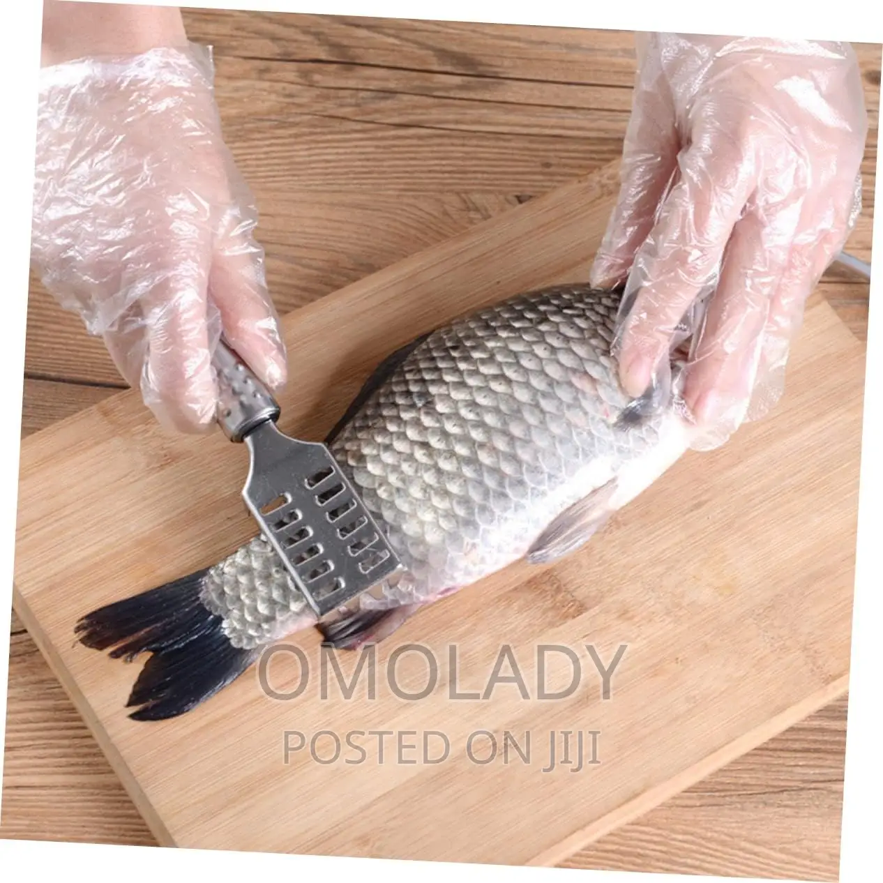 Fish Skin Scraper