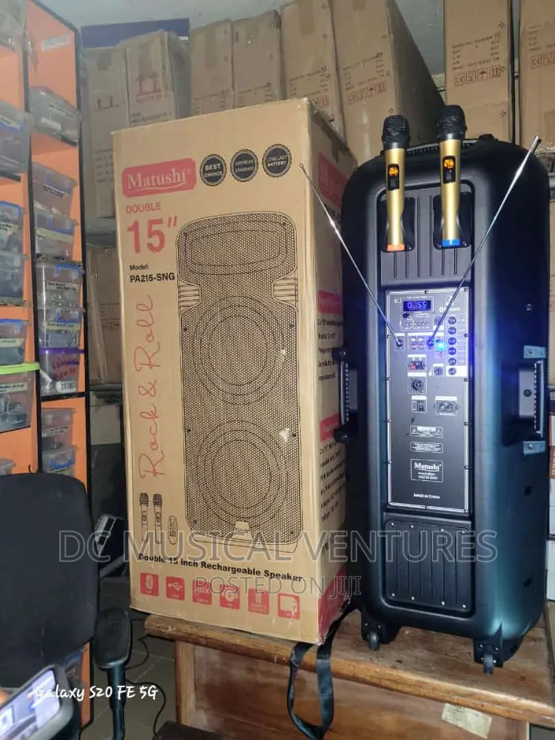 Double 15" PA System Wireless Speaker