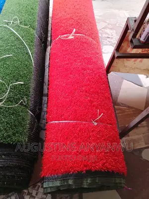 Plain Rugs for Event