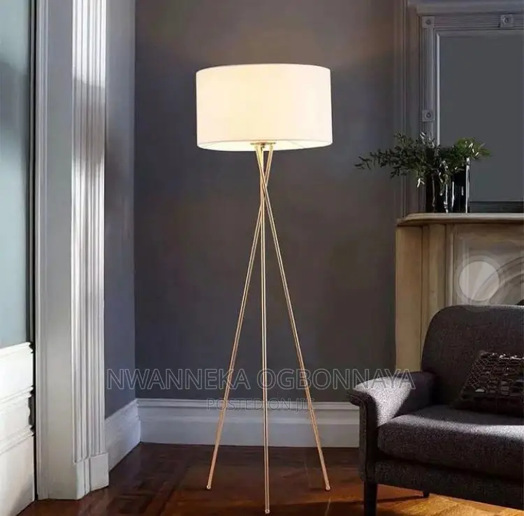 Standing Lamps Creative Tripod