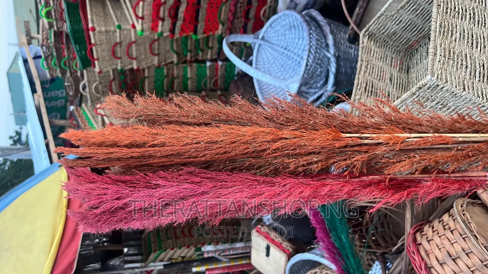 Decorative Pampas Grass