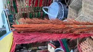 Decorative Pampas Grass