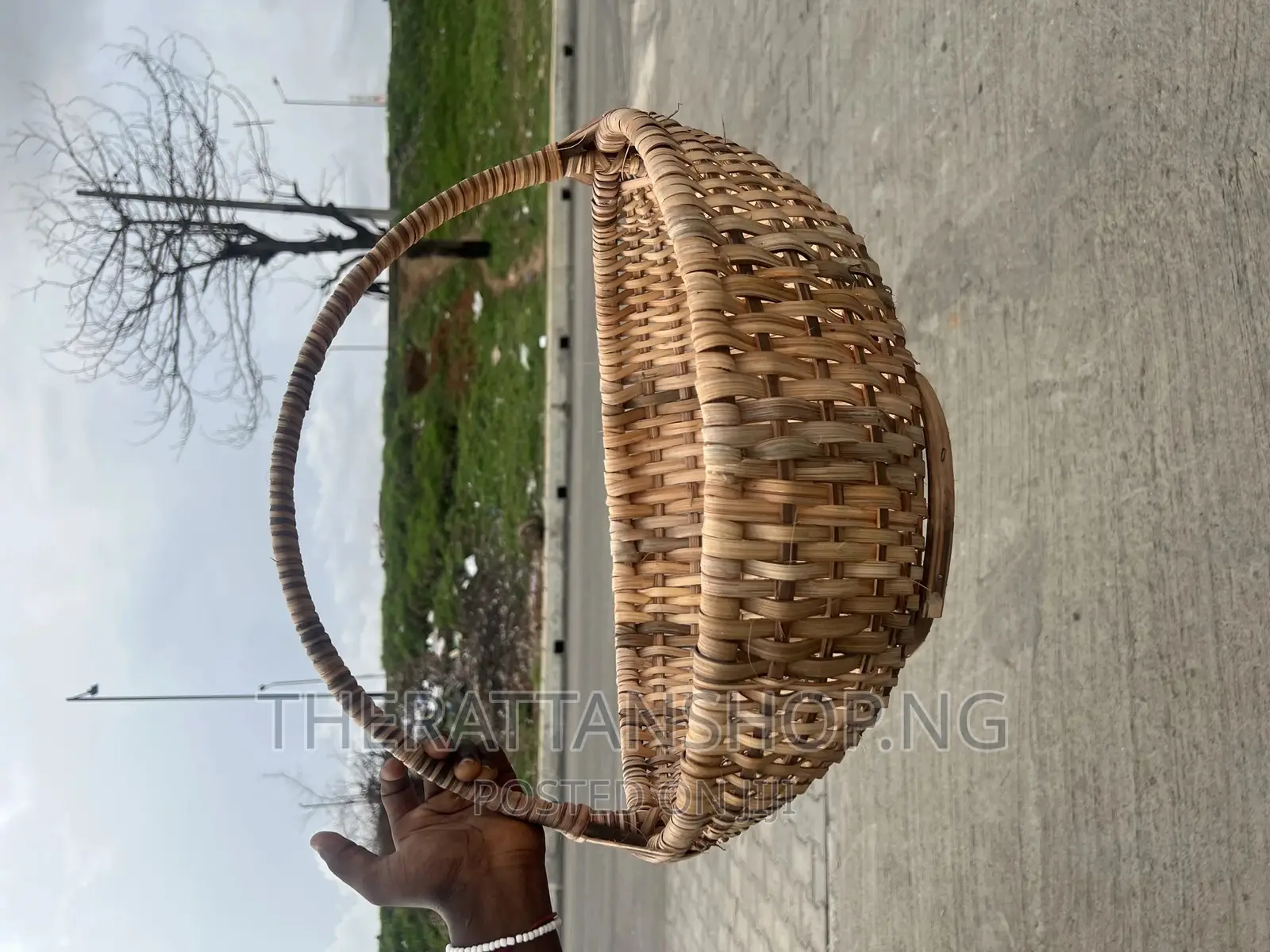 Eggshape Carrier Basket