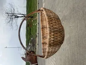 Eggshape Carrier Basket