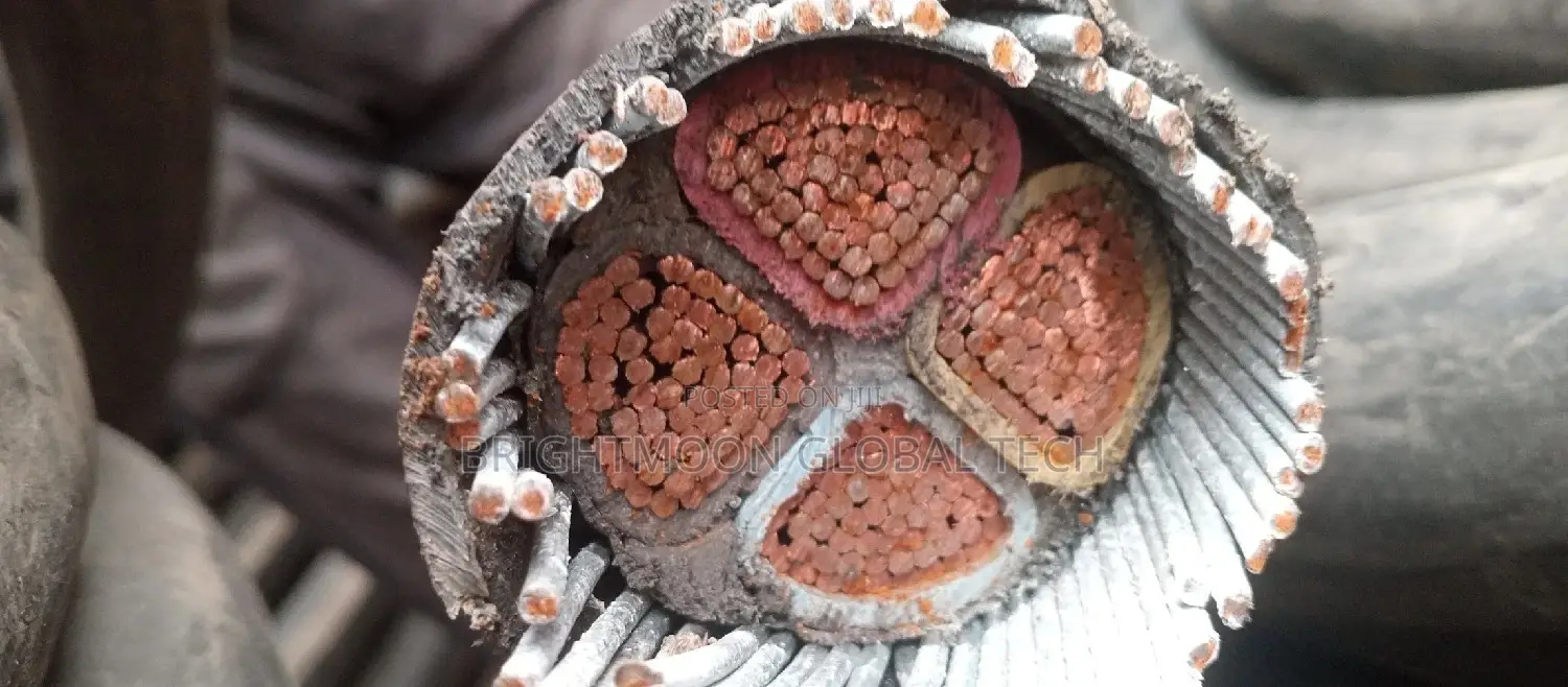 300mm 4core Nigerchin Armoured Cable a/M