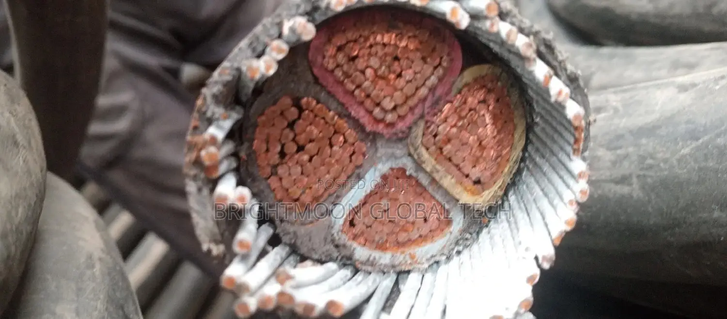 300mm 4core Nigerchin Armoured Cable a/M