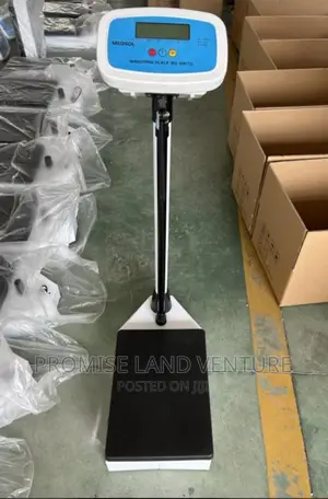 Digital Standing Scale